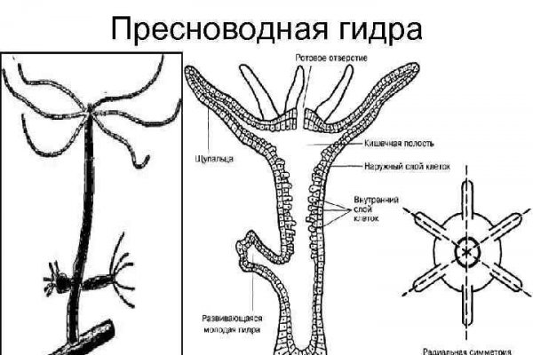 Кракен ссылка что это